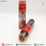 مدادرنگی لولهای ۲۴ رنگ اینوکس - تصویر 2